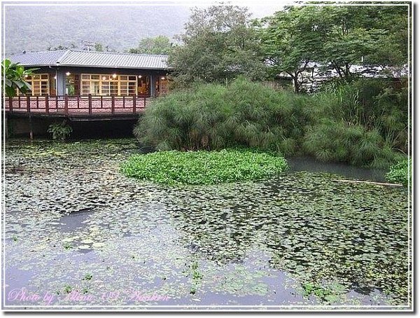 『花蓮慢活』馬太鞍濕地