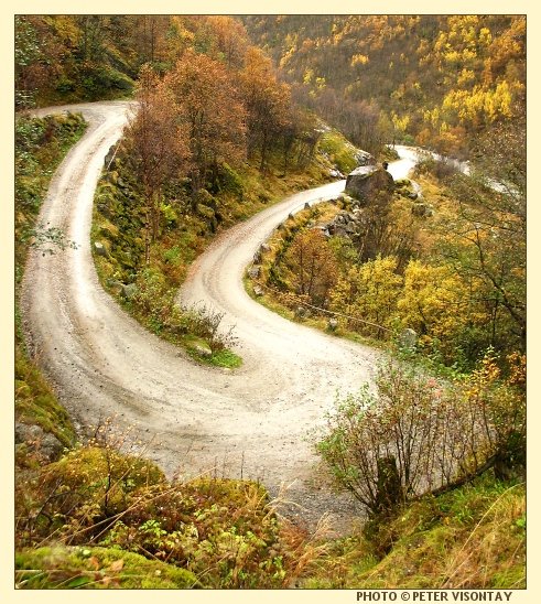 Norway_Jostedalsbreen_Winding.jpg