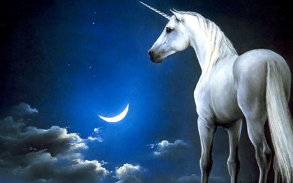 magical-unicorns-34-cool-wallpaper.jpg