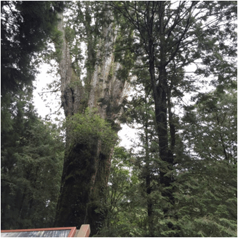 image002.png