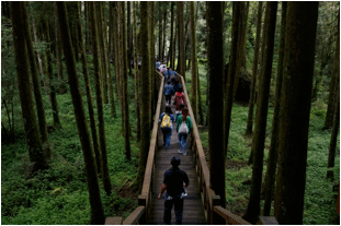 image004.png