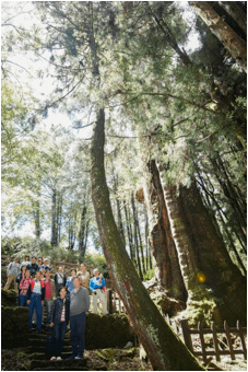 image046.png