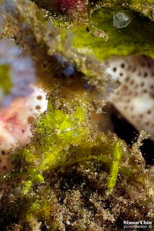 _1080551-2.jpg