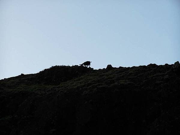 1016228_10201016594408725_1526989826_n
