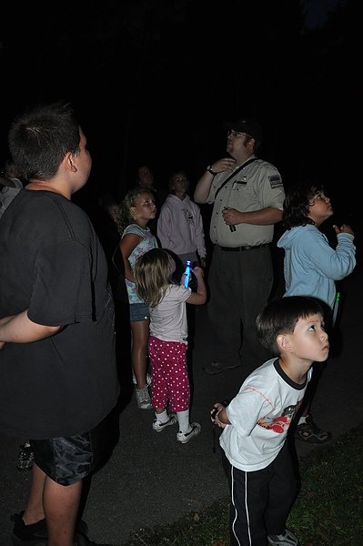 owl walk01