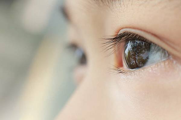 istockphoto-486935835-612x612.jpg
