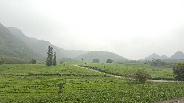 20180923_093656.jpg