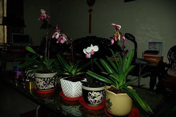 圖片2