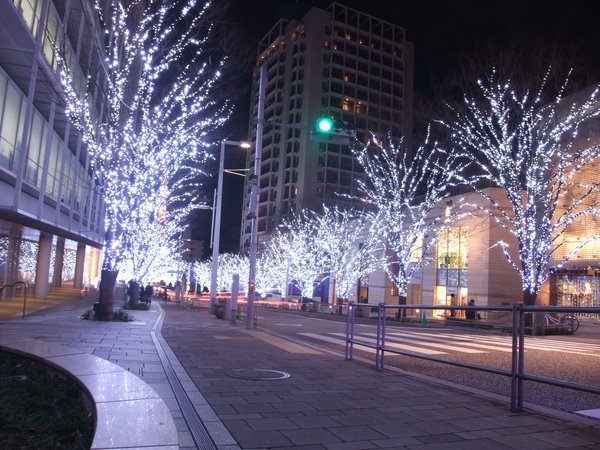 TOKYO20890.JPG
