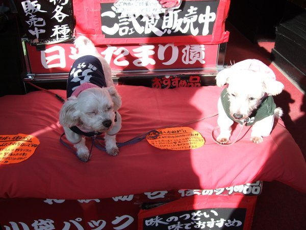 TOKYO五0356.jpg