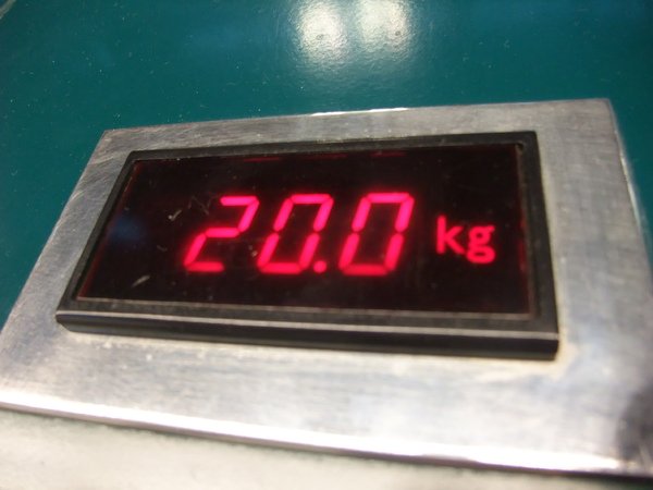 DSCF9550.JPG