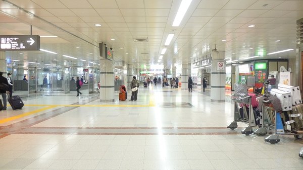 P1000043.JPG