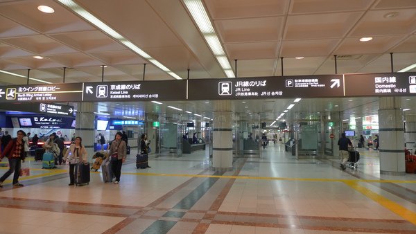 P1000044.JPG
