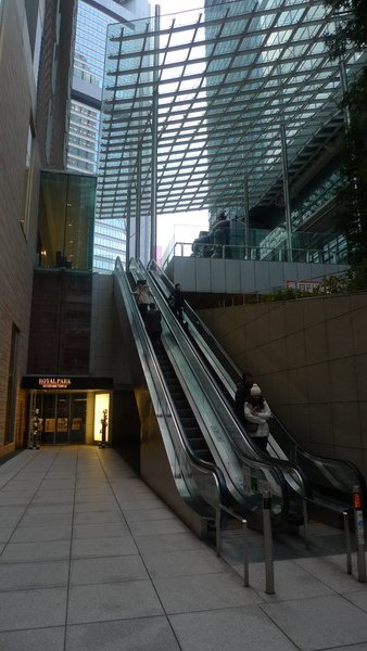 P1000130.JPG