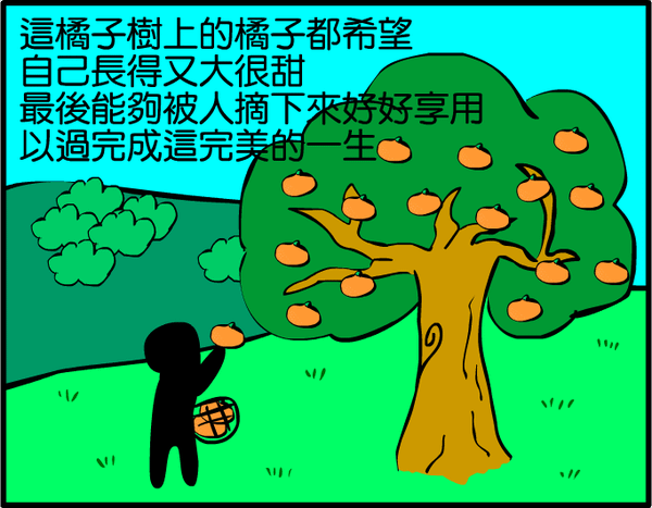 橘子篇01.PNG