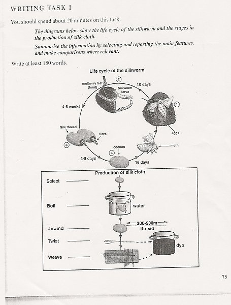 Cambridge 6-Test 3 Task 1.jpg