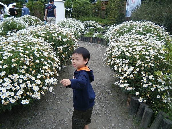 DSCF2269.JPG