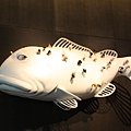 IMG_5376a.jpg