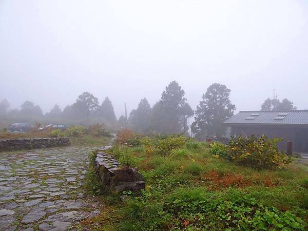 北橫20.JPG