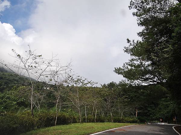 南橫11.JPG