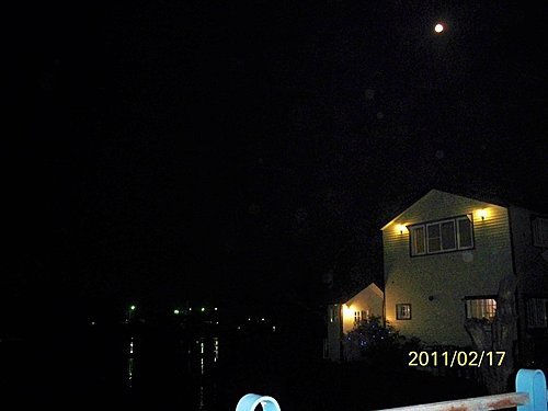 2011鹽水蜂炮ㄧ (1).jpg