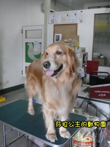 漿2.jpg