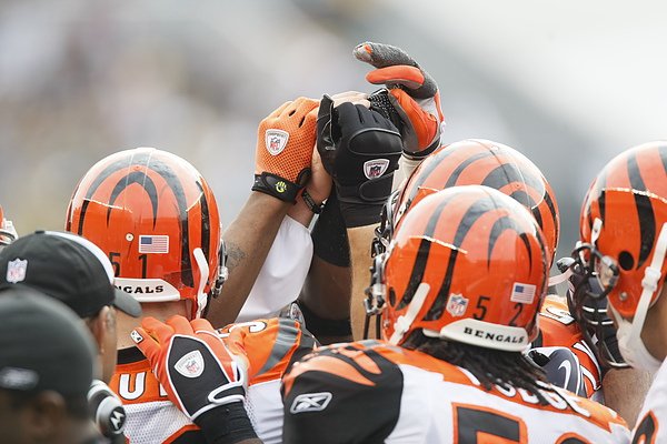 Bengals.jpg