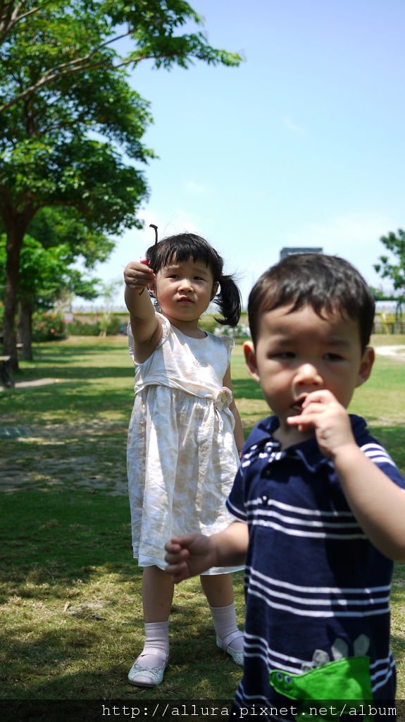 P1000555.jpg