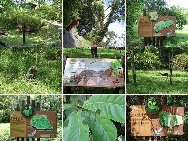 101.8.18宜蘭福山植物園6.jpg