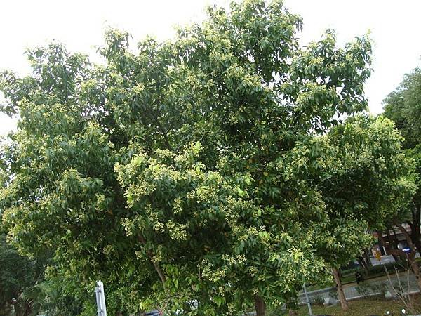 103.3.1道南河濱公園22.jpg