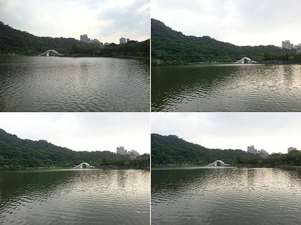 103.7.9大湖公園6.jpg