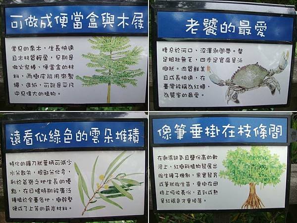 103.4.2淡水紅樹林自然保留區13.jpg