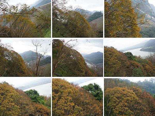 103.12.21石門水庫_賞楓步道34.jpg