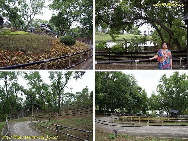 104.9.26和平公園5.jpg