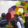IMG_8941.JPG