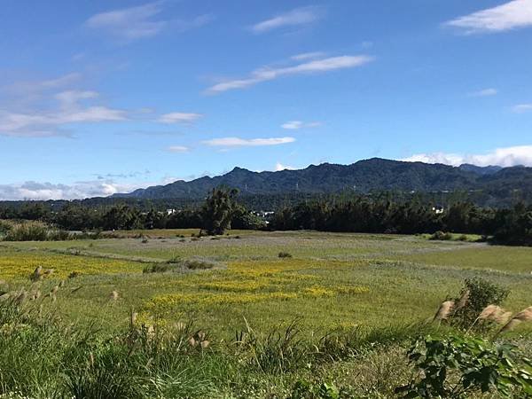 2018龍潭三坑加溪州山步道_181218_0099.jpg