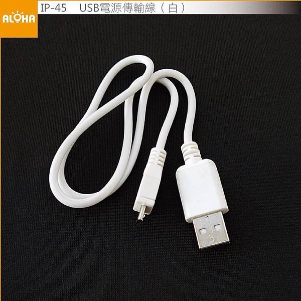 IP-45-800x800