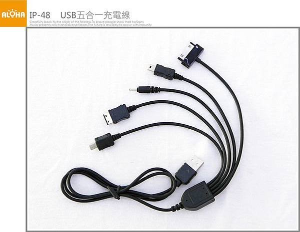 IP-48-1000x775