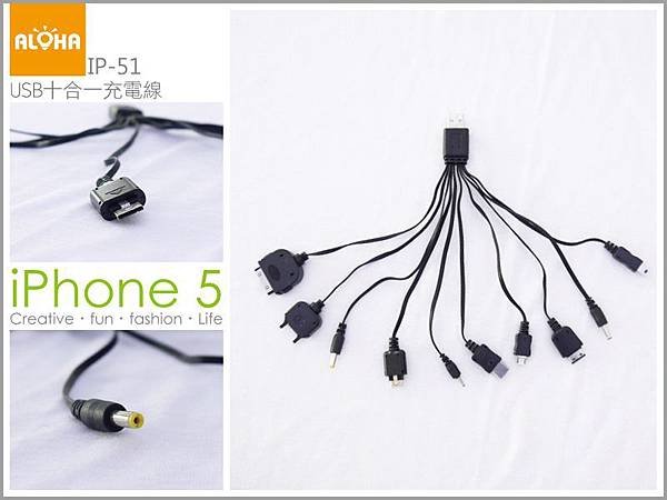 IP-51-1000x750