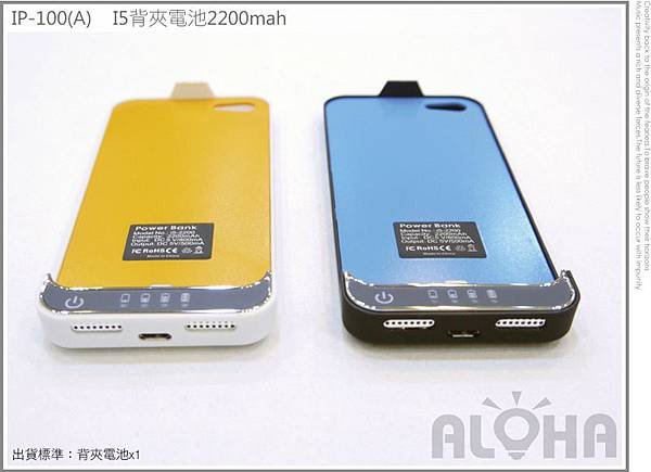 IP-100(A)-1000x725