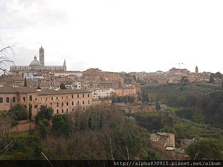 siena (2).JPG