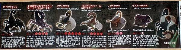 DSCF9913_TAKARA TOMY ARTS Mystery Creatures Encyclopedia Scorpions_調整大小.JPG