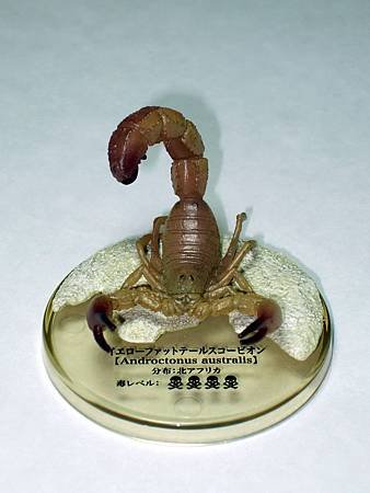 DSCF9939_TAKARA TOMY ARTS Mystery Creatures Encyclopedia Scorpions_調整大小.JPG