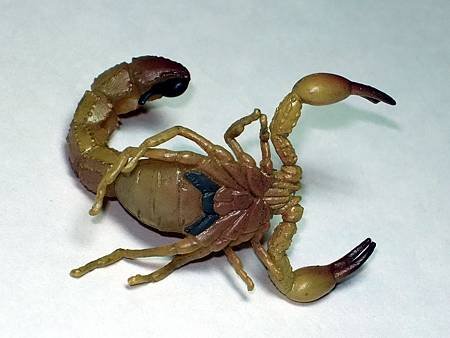 DSCF9943_TAKARA TOMY ARTS Mystery Creatures Encyclopedia Scorpions_調整大小.JPG