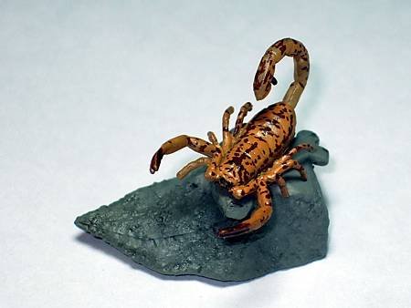 DSCF9947_TAKARA TOMY ARTS Mystery Creatures Encyclopedia Scorpions_調整大小.JPG