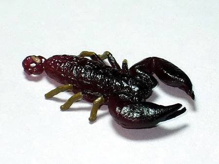 DSCF9957_TAKARA TOMY ARTS Mystery Creatures Encyclopedia Scorpions_調整大小.JPG