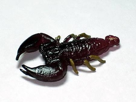 DSCF9958_TAKARA TOMY ARTS Mystery Creatures Encyclopedia Scorpions_調整大小.JPG