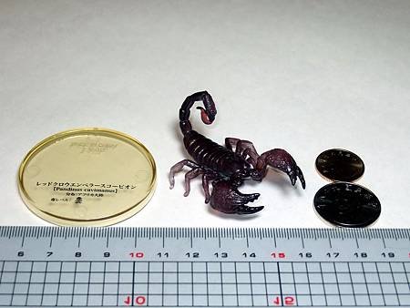 DSCF9960_TAKARA TOMY ARTS Mystery Creatures Encyclopedia Scorpions_調整大小.JPG