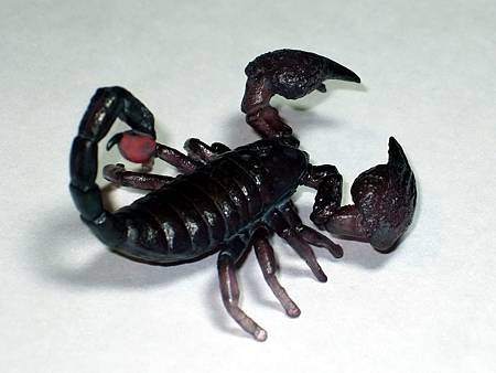 DSCF9963_TAKARA TOMY ARTS Mystery Creatures Encyclopedia Scorpions_調整大小.JPG