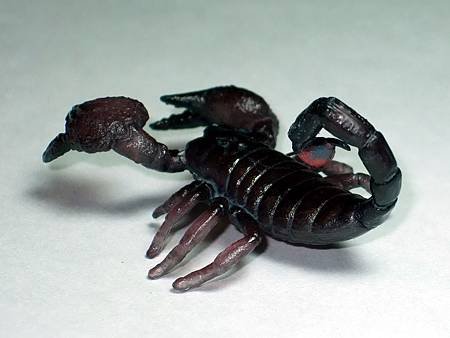 DSCF9965_TAKARA TOMY ARTS Mystery Creatures Encyclopedia Scorpions_調整大小.JPG